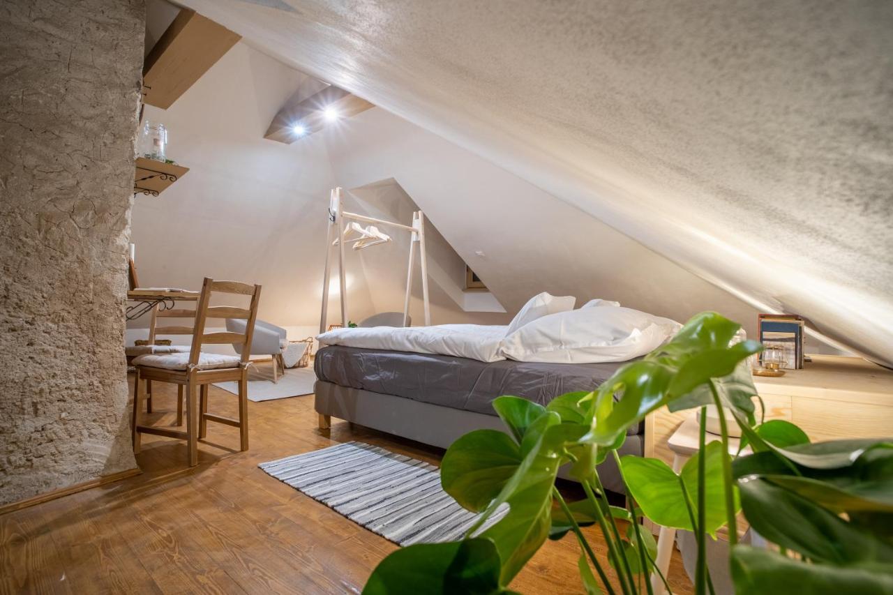 Apartmany Rodny Dom Deza Hoffmanna Banská Štiavnica 外观 照片